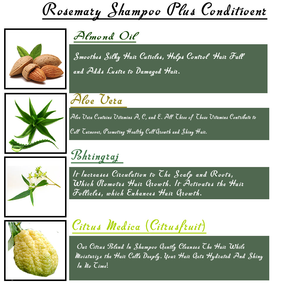 Seyal Rosemary Shampoo Plus Conditioner, Anti Dandruff & Hair Fall Control - 250 ml