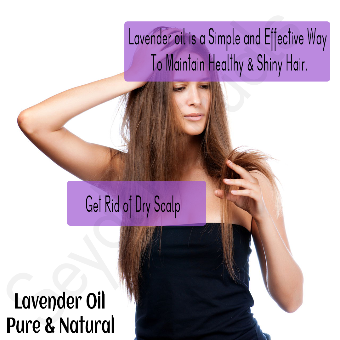 Seyal Lavender Essential Oil 100 % Pure Therapeutic Grade